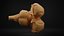 Brain stem
