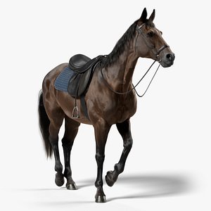 3D Horse Brown Saddled