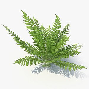 3D model 04 leaves v-ray