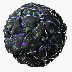 max black beetle virus