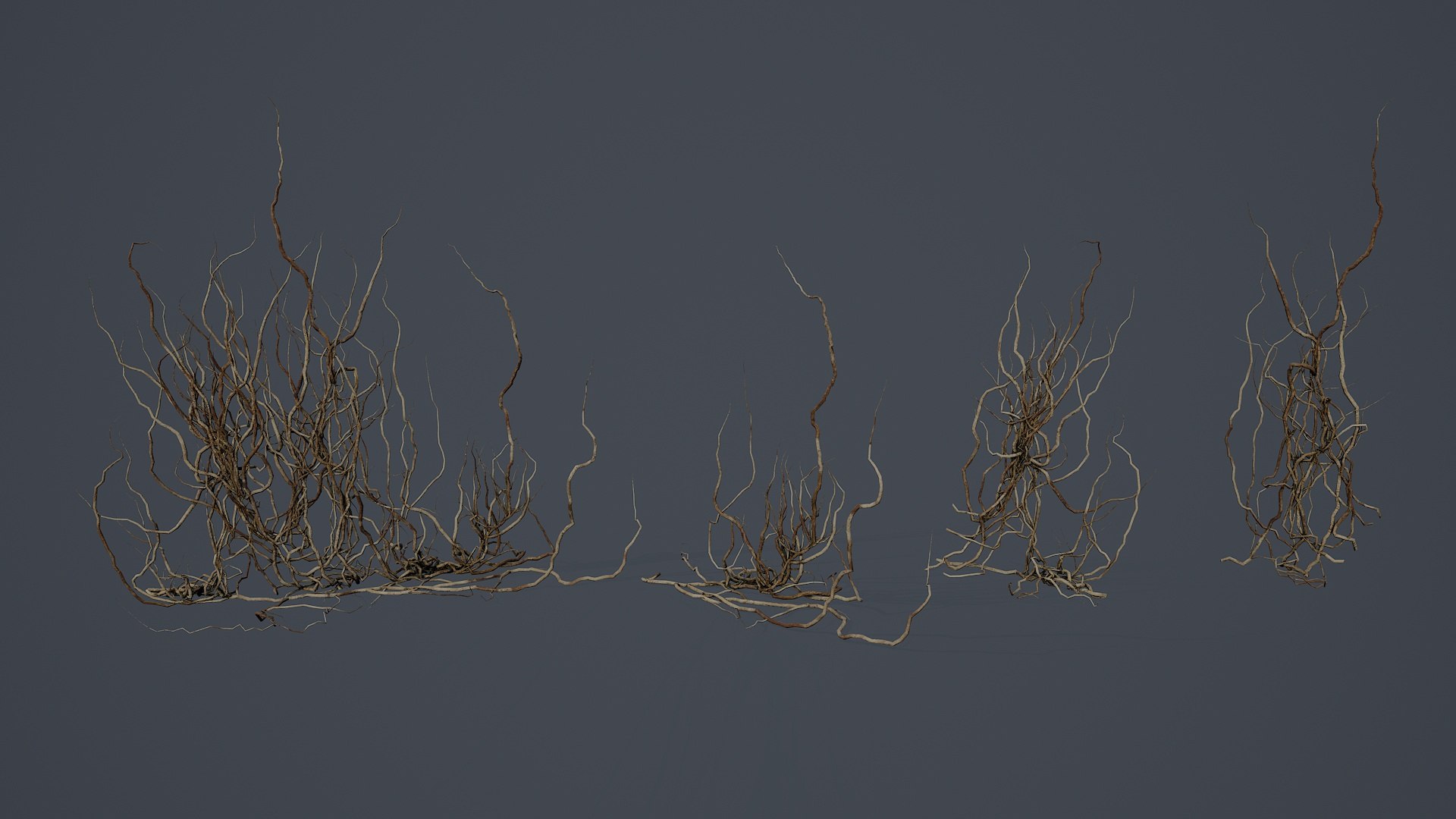 3D Wood Roots PBR V4 Model - TurboSquid 2531717