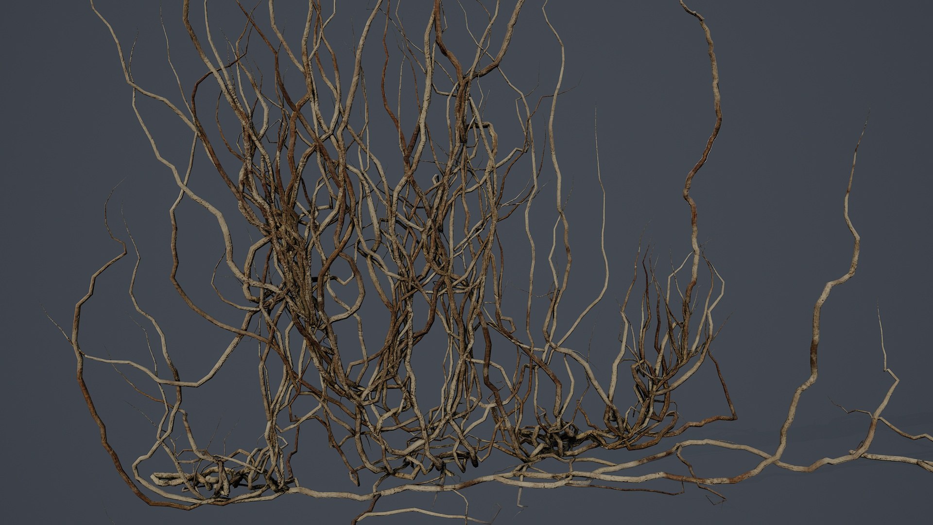 3D Wood Roots PBR V4 Model - TurboSquid 2531717