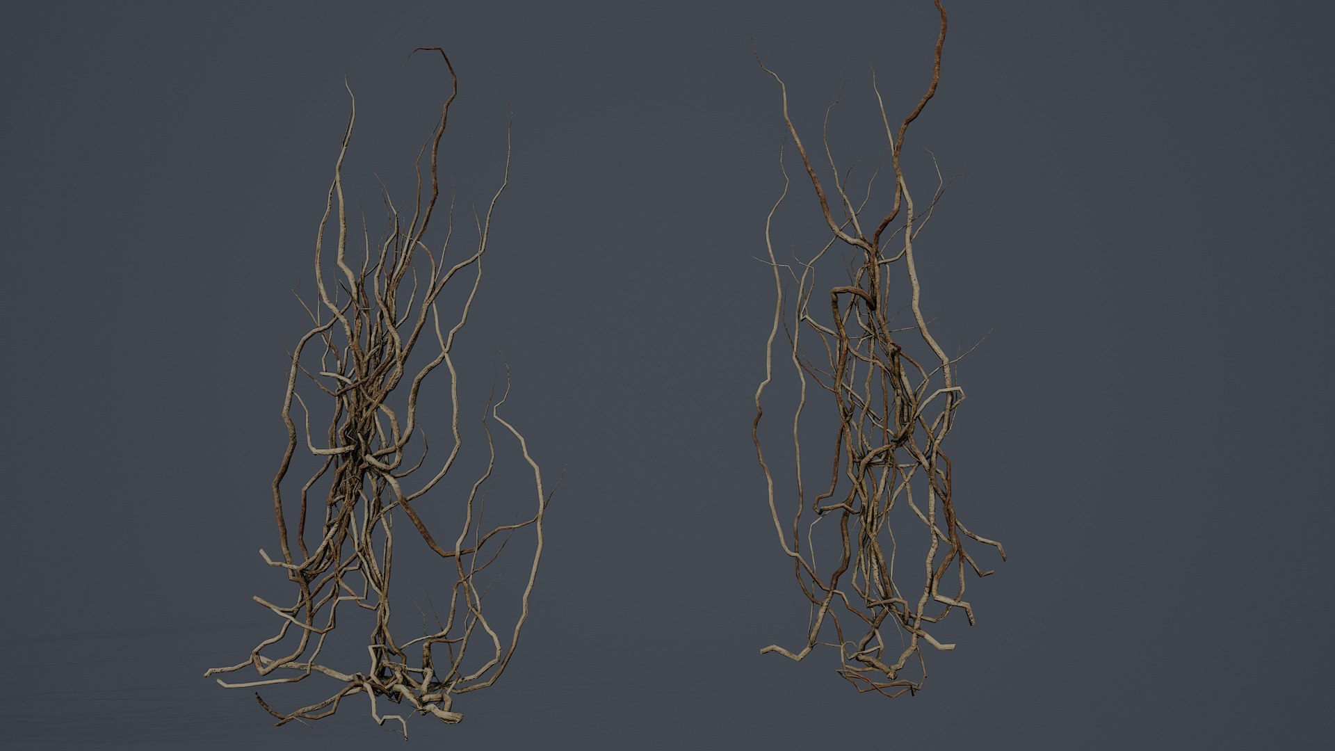 3D Wood Roots PBR V4 Model - TurboSquid 2531717