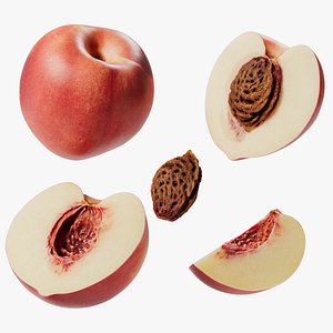 Peach - Nectarine 3D model