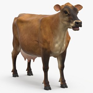 3D Cattle Cow