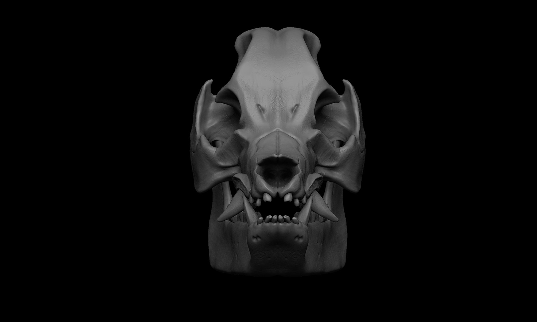 Pig Skull 3D Model - TurboSquid 1898530