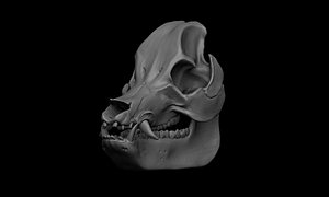 Pig Skull