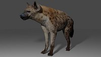 Spotted Hyena Animated Game Ready