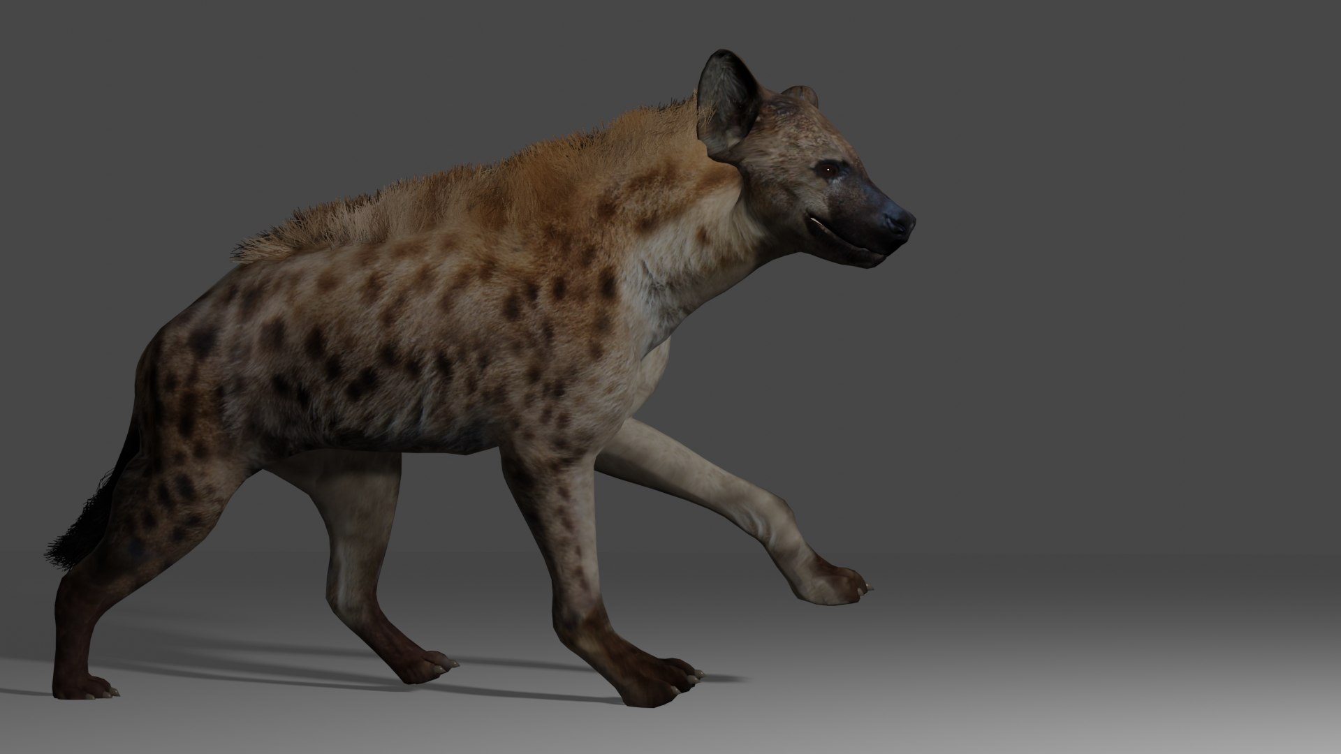 Spotted Hyena Animated Game Ready 3D model - TurboSquid 1990899