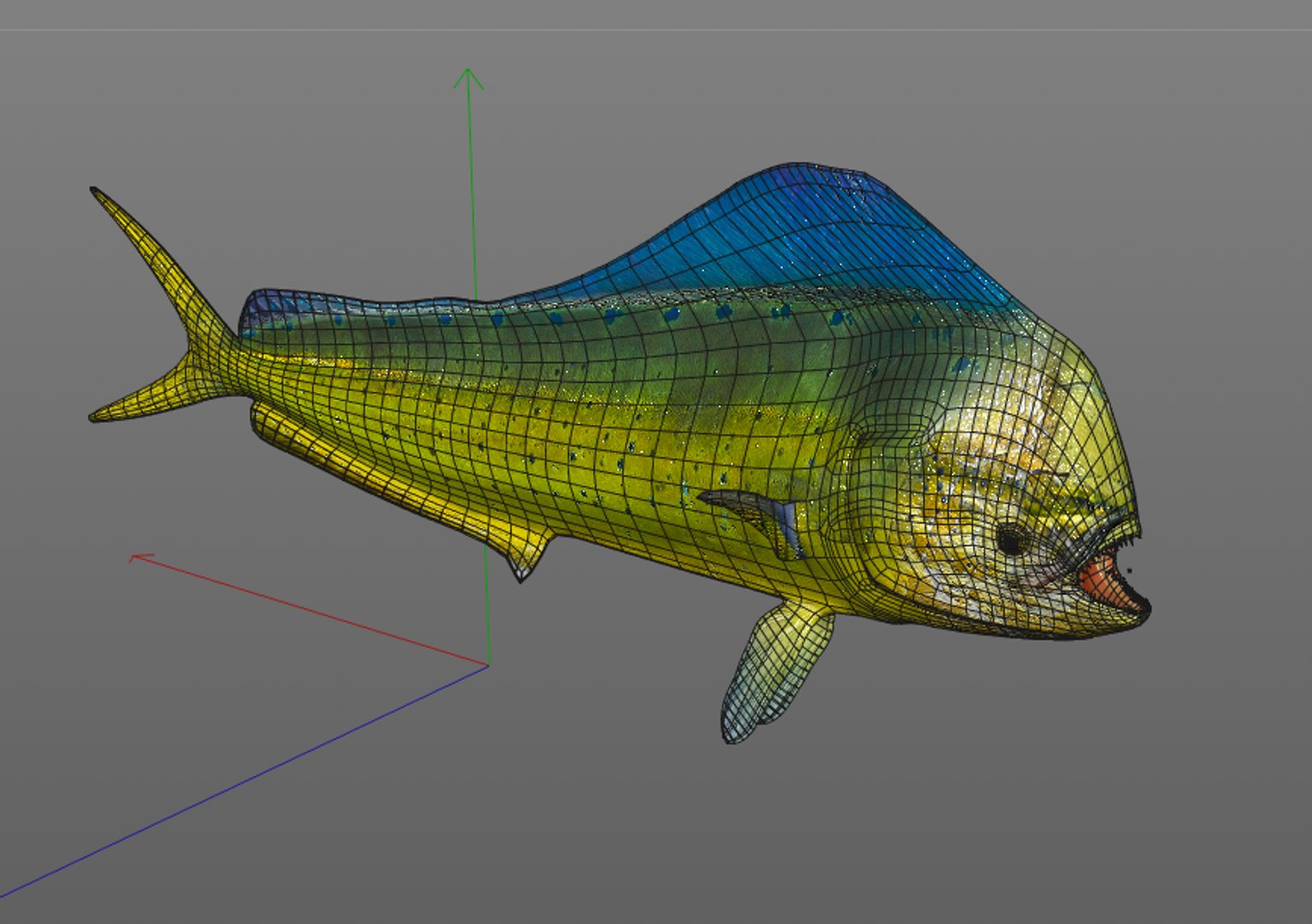 Fish Model - TurboSquid 1551938