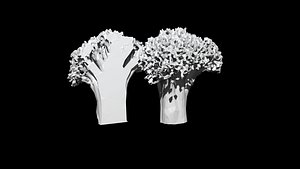 broccoli  cut 3D CT scan model 7 decimate 10percent 3D