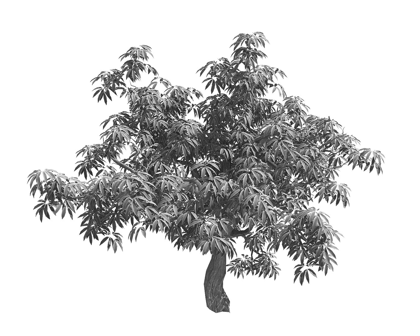 sharp leaves - tree 3D https://p.turbosquid.com/ts-thumb/4u/f4UstO/AR2QBmsf/3/jpg/1568712497/1920x1080/fit_q87/3bb4f1786f519db0ea505f8418574c41c76a21fb/3.jpg