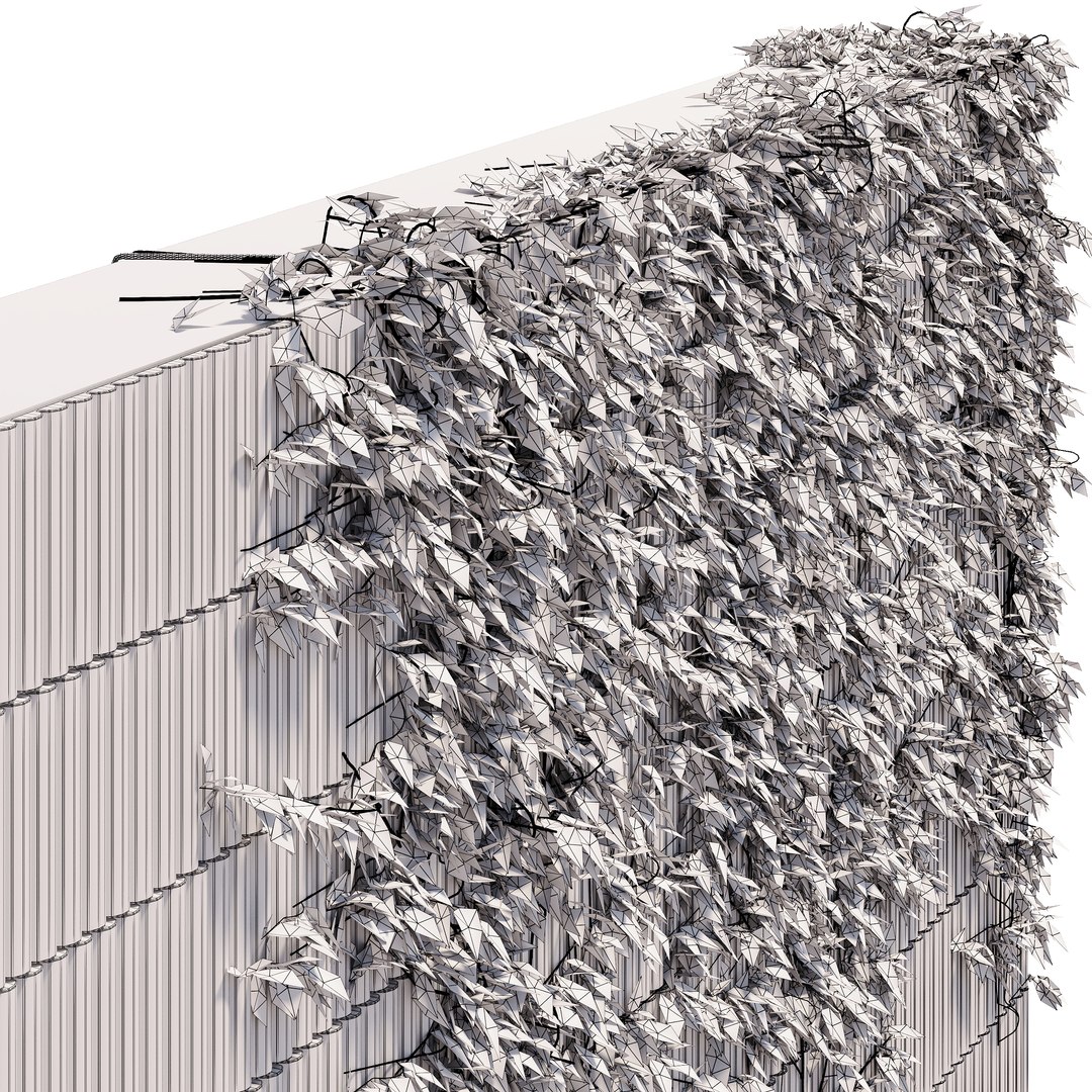 3D Wild grapes on the wall https://p.turbosquid.com/ts-thumb/4u/oMTmEW/9y/wireframe/jpg/1765538923/1920x1080/fit_q87/5e5f5a4c322ca5a4fe5aee424415e3f9ad429b1c/wireframe.jpg