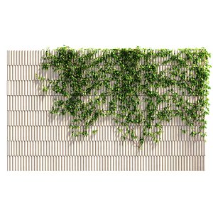 3D Wild grapes on the wall
