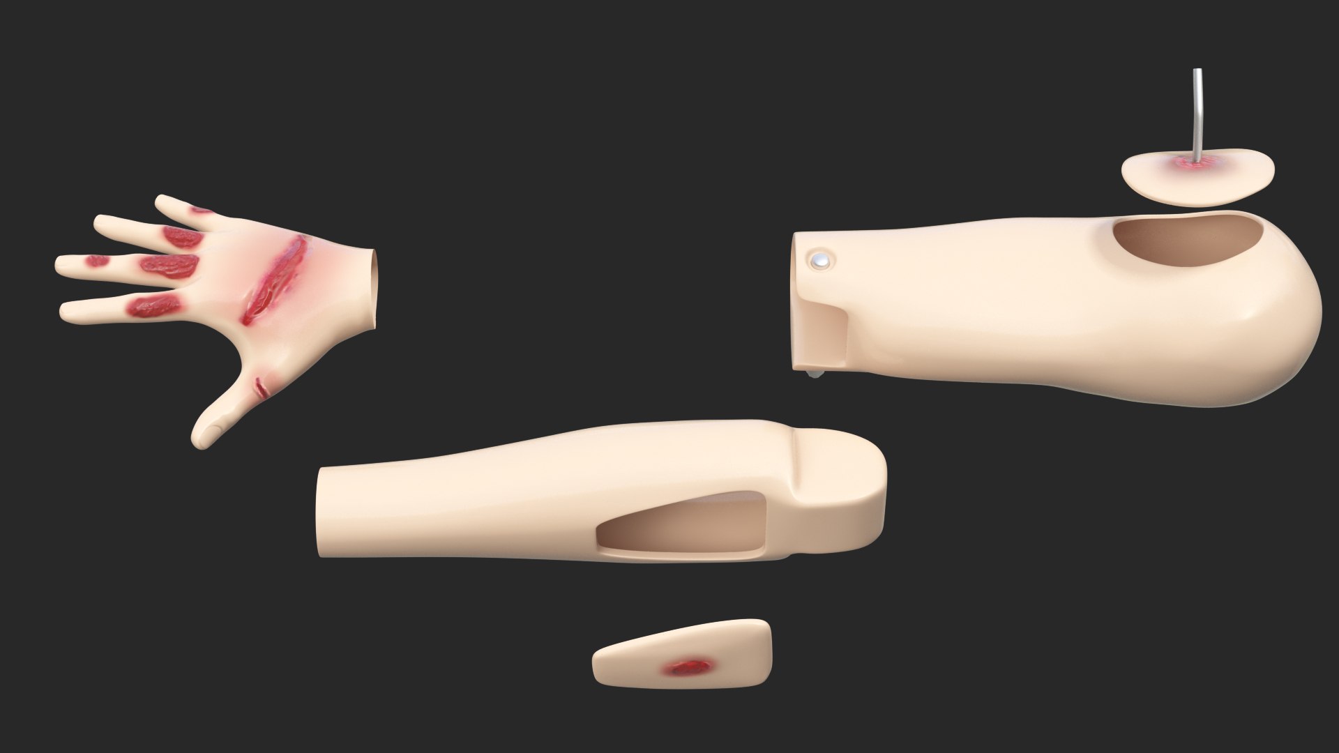 injured firstaid mannequin arm 3D model https://p.turbosquid.com/ts-thumb/4u/pcPChU/Dmj75toX/injuredfirstaidmannequinarm3dmodel011/jpg/1582315106/1920x1080/fit_q87/8810f43b3fa1879f0806224d3fc3e00bd1c242b5/injuredfirstaidmannequinarm3dmodel011.jpg