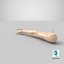 Injured Firstaid Mannequin Arm