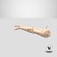 Injured Firstaid Mannequin Arm