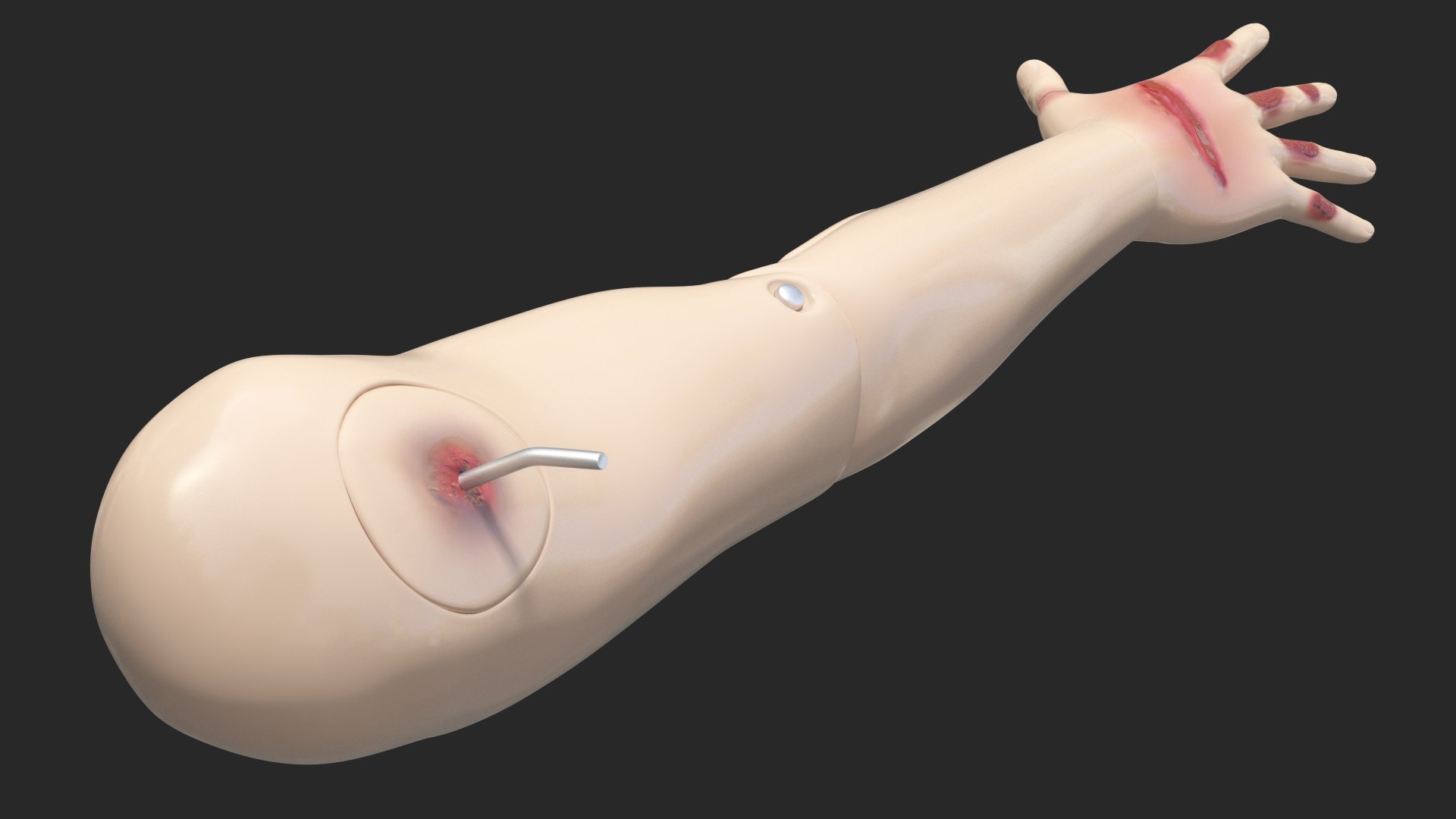 injured firstaid mannequin arm 3D model https://p.turbosquid.com/ts-thumb/4u/pcPChU/xd4O6GFt/injuredfirstaidmannequinarm3dmodel010/jpg/1582315100/1920x1080/fit_q87/ccf1ba22f9f02f551a273c2e4d72170ed7328131/injuredfirstaidmannequinarm3dmodel010.jpg