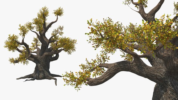 modelo 3d Cachorro de pantera negra sobre piel de árbol retorcida ...