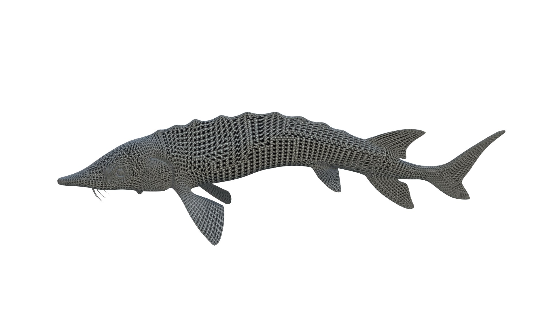 3D Acipenser Dabryanus 3D Model Model - TurboSquid 2313633