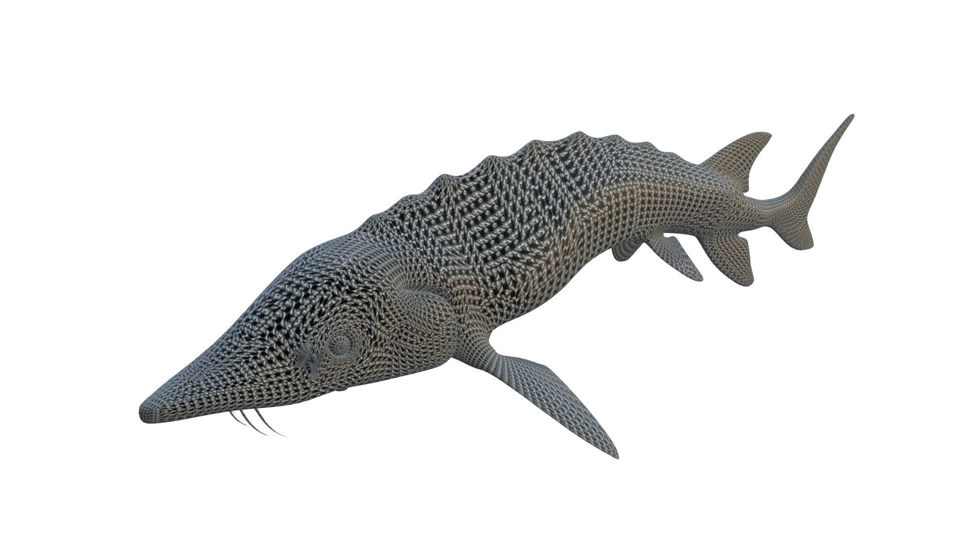 3D Acipenser Dabryanus 3D Model Model - TurboSquid 2313633