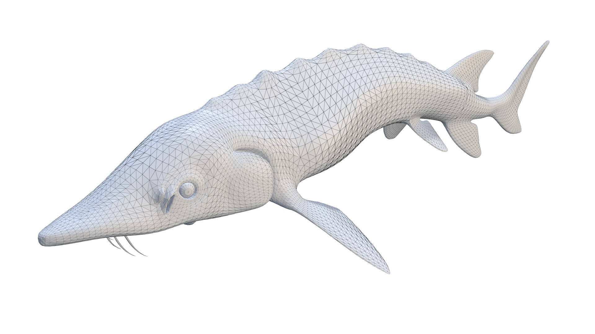 3D Acipenser Dabryanus 3D Model Model - TurboSquid 2313633