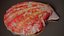 Rote Pecten-Jakobsmuschel Chlamys Rubida Shell 15