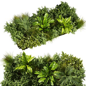 plant vol 860 - indoor - garden - leaf