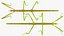 Phasmatodea Stick Insect Rigged