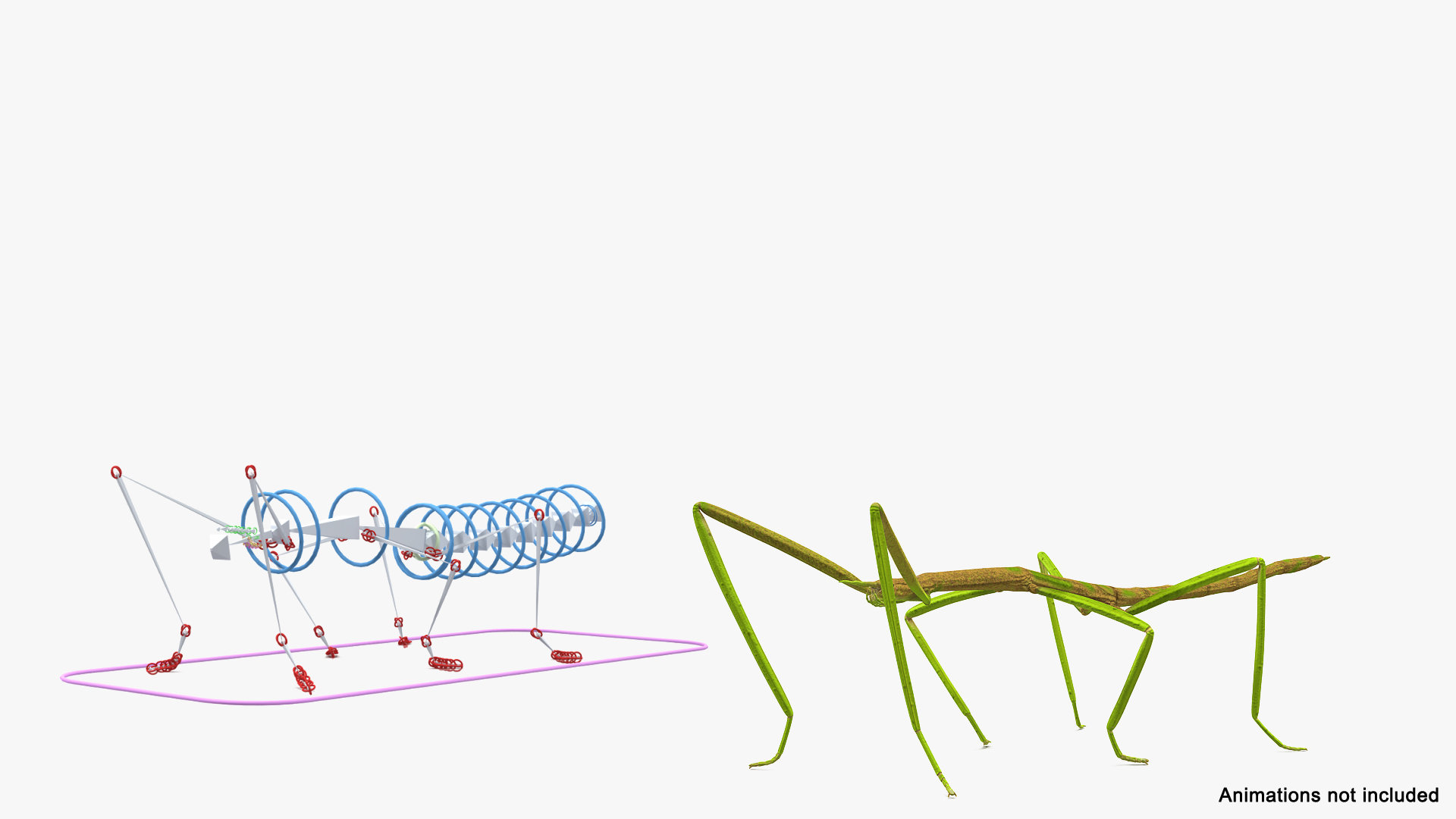 phasmatodea stick insect rigged model https://p.turbosquid.com/ts-thumb/4v/7HVnmd/WECsNGCC/phasmatodea_stick_insect_rigged_362/jpg/1579163292/1920x1080/turn_fit_q99/352b267c1a7b26d39525fa31863b86294b07e113/phasmatodea_stick_insect_rigged_362-1.jpg