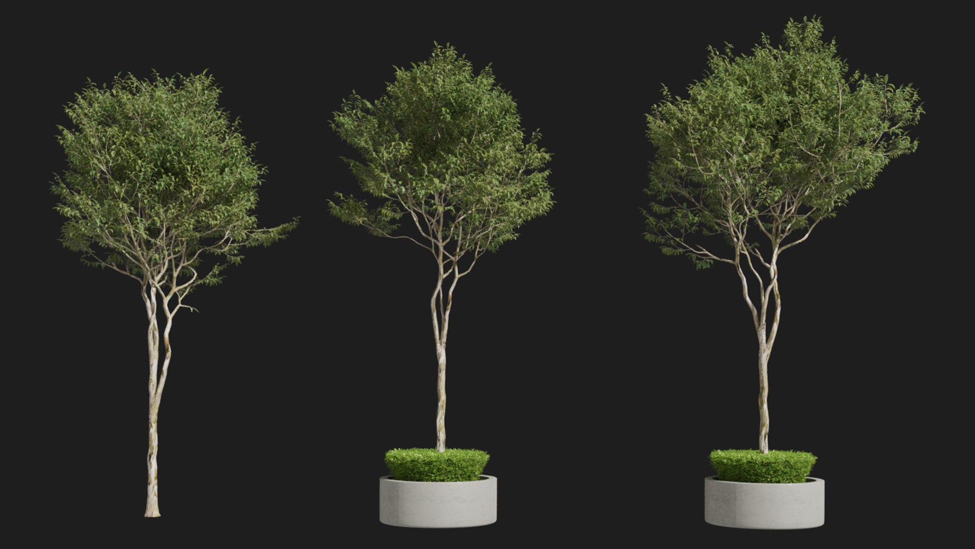 landscape 3D model https://p.turbosquid.com/ts-thumb/4v/HYc1rd/3EICJJNu/blender35/jpg/1575210075/1920x1080/fit_q87/d1a3dba2c72cc88163ed5d7a244846e668b05ab3/blender35.jpg
