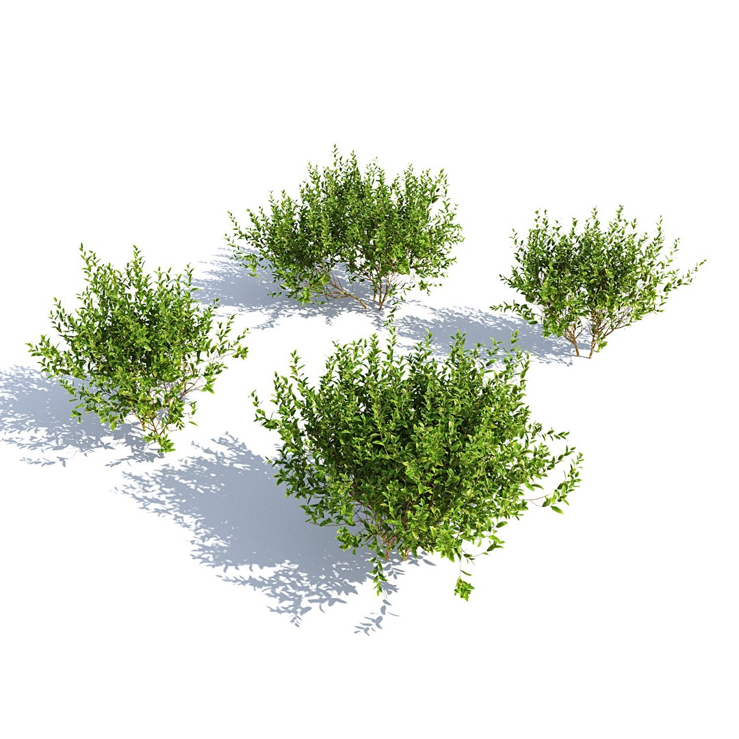 landscape 3D model https://p.turbosquid.com/ts-thumb/4v/HYc1rd/9QrYC40W/autoland_32/jpg/1575151098/1920x1080/fit_q87/836cb9f9c87b3598e9e23f0a188020b825edd1ae/autoland_32.jpg