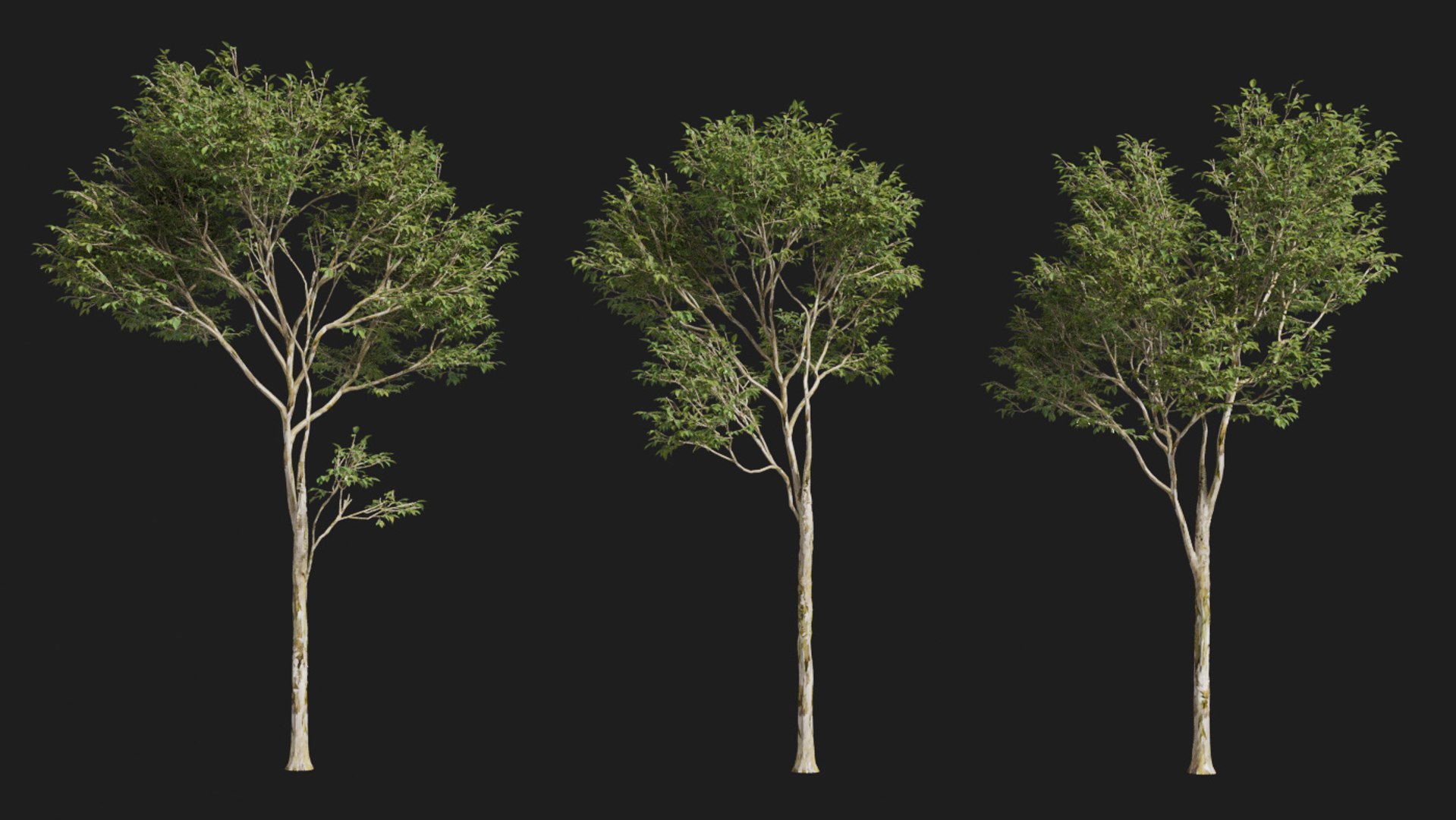 landscape 3D model https://p.turbosquid.com/ts-thumb/4v/HYc1rd/Kvx44gvF/blender36/jpg/1575210083/1920x1080/fit_q87/73d8c43d1b18ba97b5f195587a927f8a059077f4/blender36.jpg