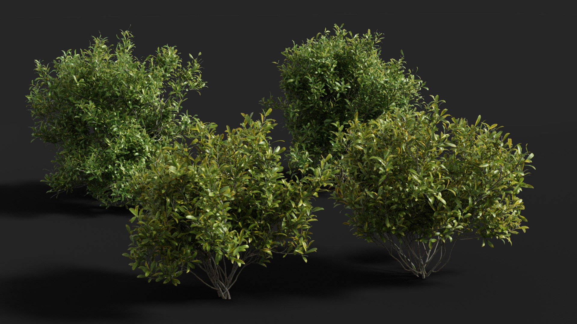 landscape 3D model https://p.turbosquid.com/ts-thumb/4v/HYc1rd/Rcs10rzP/blender34/jpg/1575210075/1920x1080/fit_q87/c1aa6d326b53aefe284b0b86bde4575c8af6f27f/blender34.jpg