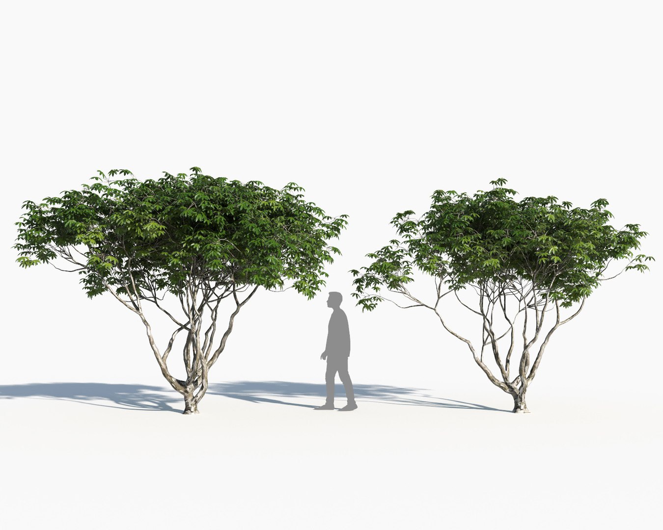 landscape 3D model https://p.turbosquid.com/ts-thumb/4v/HYc1rd/RlLDVfis/autoland_39/jpg/1575151157/1920x1080/fit_q87/b58e9ed9d37ce6348c4babb1133daf5a4849e4b6/autoland_39.jpg