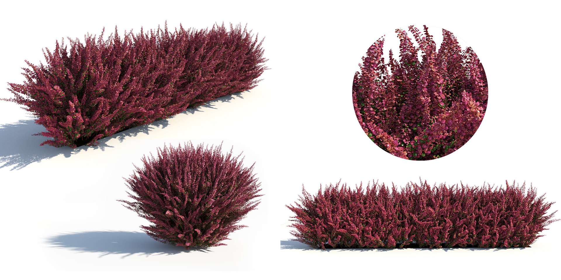 landscape 3D model https://p.turbosquid.com/ts-thumb/4v/HYc1rd/SPZfEE1e/autoland_6/jpg/1575146160/1920x1080/fit_q87/4fc015fa8986016cf794f0c24dc8b0903fad2480/autoland_6.jpg