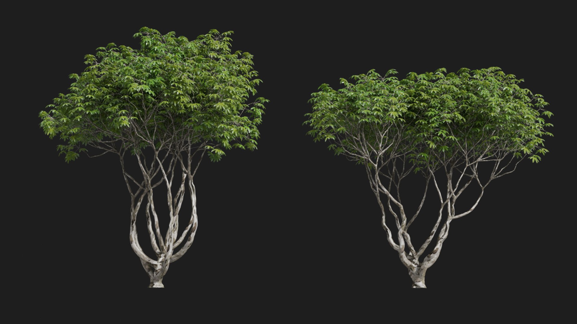 landscape 3D model https://p.turbosquid.com/ts-thumb/4v/HYc1rd/Ugmw0qZW/blender40/jpg/1575210090/1920x1080/fit_q87/1626cbbe86d447fe5203ff299301669dbacbcfb7/blender40.jpg
