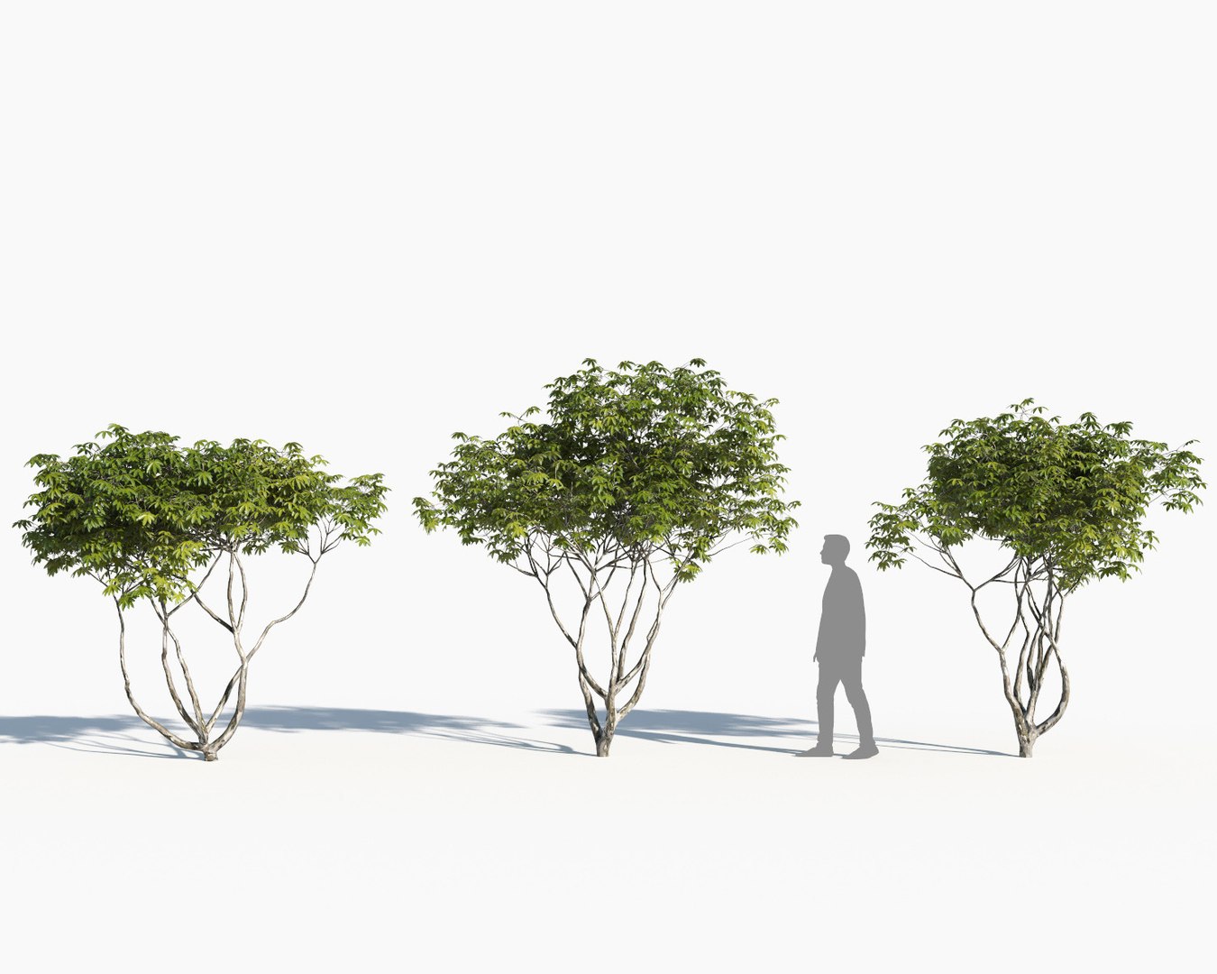 landscape 3D model https://p.turbosquid.com/ts-thumb/4v/HYc1rd/cCDb9qxH/autoland_38/jpg/1575151157/1920x1080/fit_q87/553fb15b3fdf6e5ebdd8857f96bbff9b3aed3f3d/autoland_38.jpg