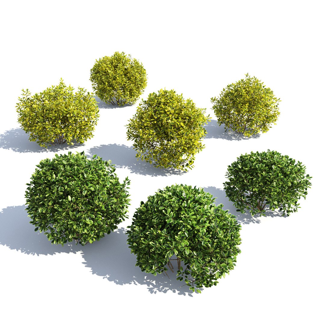 landscape 3D model https://p.turbosquid.com/ts-thumb/4v/HYc1rd/cHstBnBT/autoland_30/jpg/1575151090/1920x1080/fit_q87/ec26d9648aaad2404d534f222b86897c242c9bbf/autoland_30.jpg