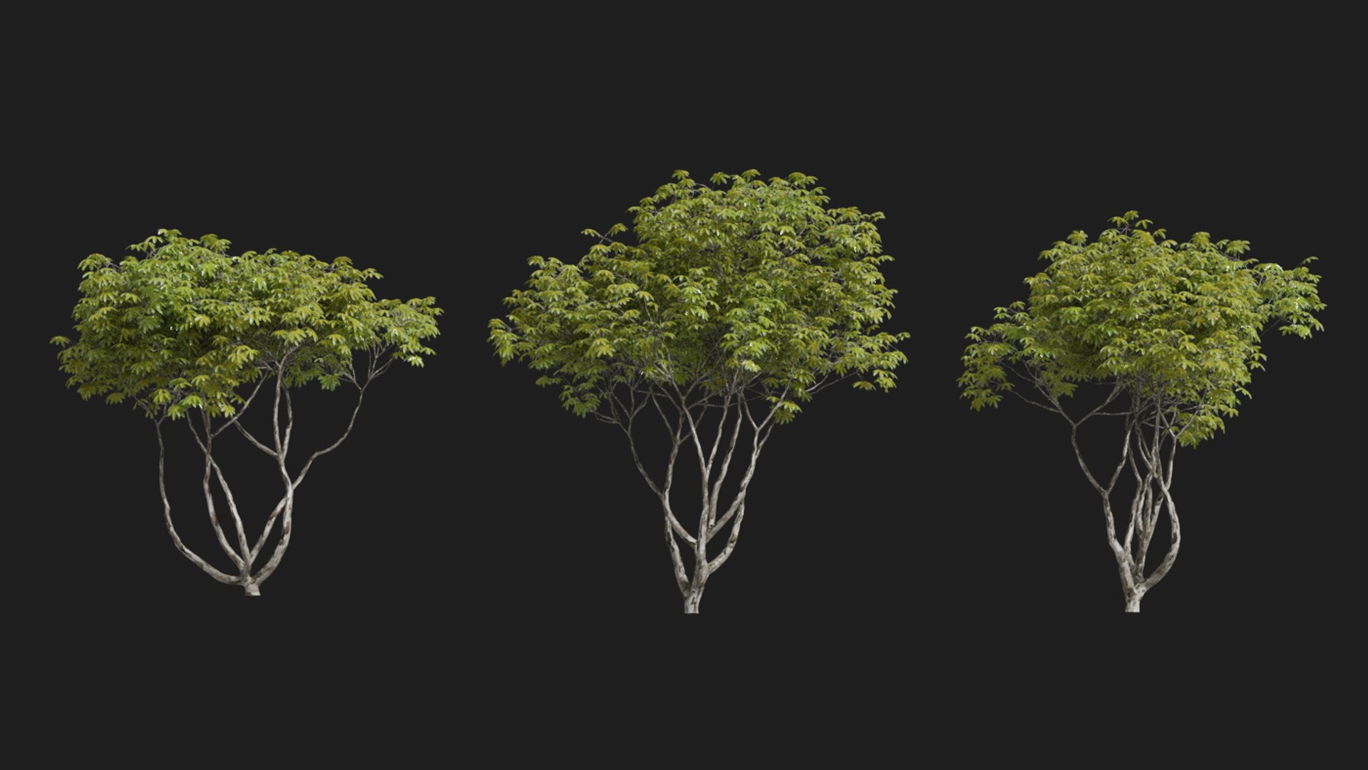 landscape 3D model https://p.turbosquid.com/ts-thumb/4v/HYc1rd/cJ9dC153/blender41/jpg/1575210090/1920x1080/fit_q87/73d6fa0ebe4bdcf1c9d900f0d343eb5d1a598cea/blender41.jpg