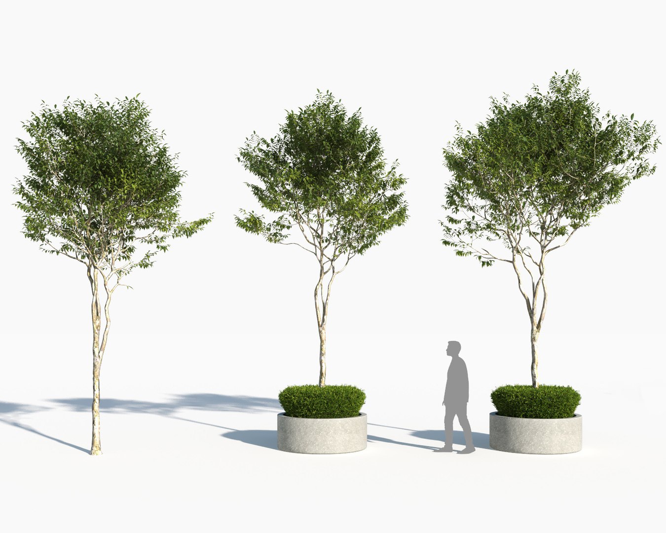 landscape 3D model https://p.turbosquid.com/ts-thumb/4v/HYc1rd/cgnf8JiA/autoland_34/jpg/1575151137/1920x1080/fit_q87/e535eefab1c51aaa2ffe34499dd5d885e8051c74/autoland_34.jpg