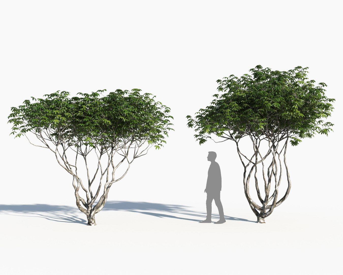landscape 3D model https://p.turbosquid.com/ts-thumb/4v/HYc1rd/fHUqDuRo/autoland_40/jpg/1575151157/1920x1080/fit_q87/eb187f803e17e4b398ed5e49b1cff8ad798a2d80/autoland_40.jpg