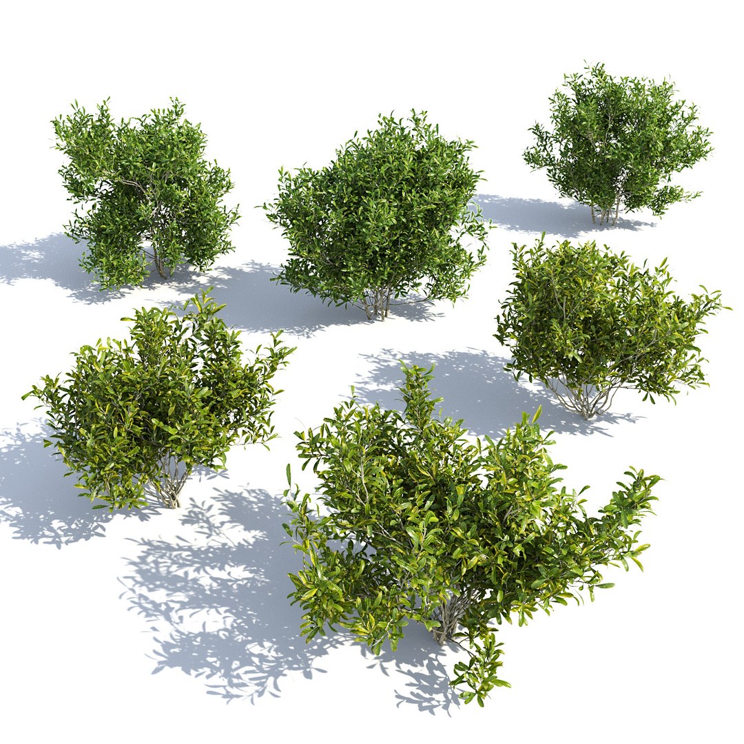landscape 3D model https://p.turbosquid.com/ts-thumb/4v/HYc1rd/fnYsyZZj/autoland_33/jpg/1575151104/1920x1080/fit_q87/f3724a6d635aa74d8d601fdb873bcc27ae292a85/autoland_33.jpg