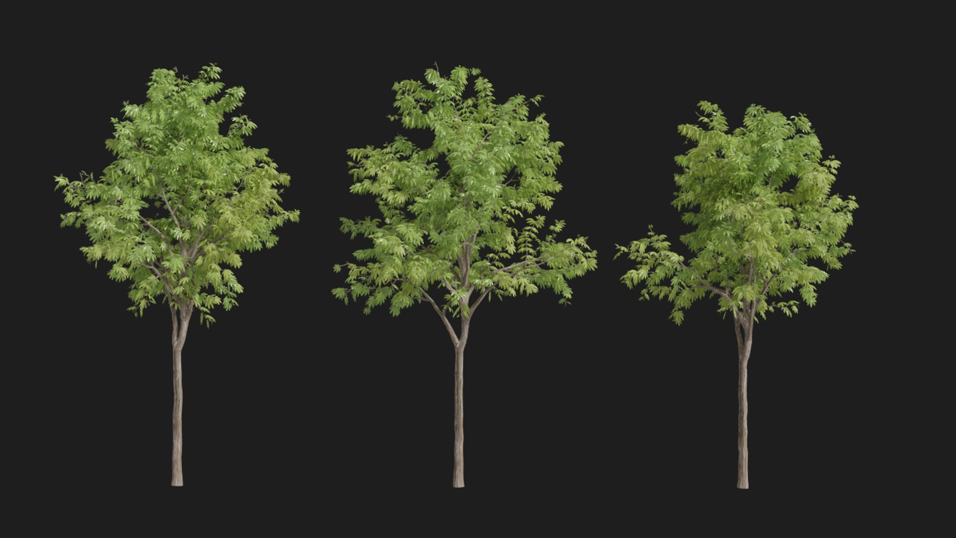 landscape 3D model https://p.turbosquid.com/ts-thumb/4v/HYc1rd/g1mxY6Vp/blender38/jpg/1575210083/1920x1080/fit_q87/3f259ee233434f7d1a5cc0beec271a4994587321/blender38.jpg