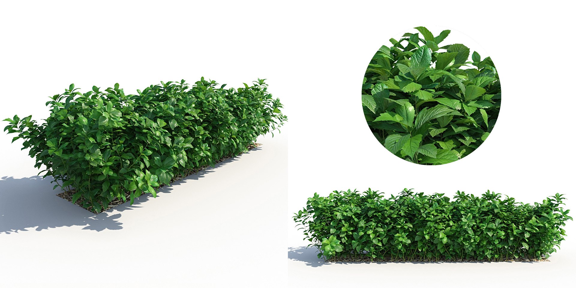 landscape 3D model https://p.turbosquid.com/ts-thumb/4v/HYc1rd/jtHtWa21/autoland_3/jpg/1575146138/1920x1080/fit_q87/29894f90d64466dab91d7ee1f52df2b1bd94dd30/autoland_3.jpg