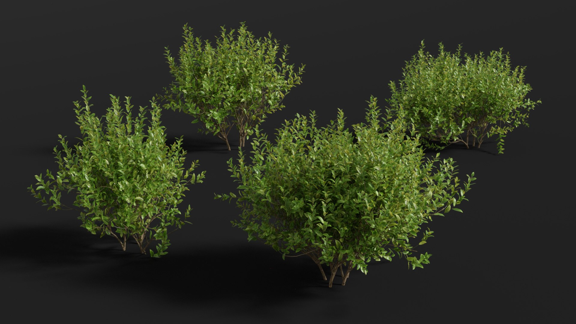 landscape 3D model https://p.turbosquid.com/ts-thumb/4v/HYc1rd/m2dDzqiq/blender31/jpg/1575210061/1920x1080/fit_q87/99638aeef84fb50ffd2b7beb155c39bb76c64170/blender31.jpg