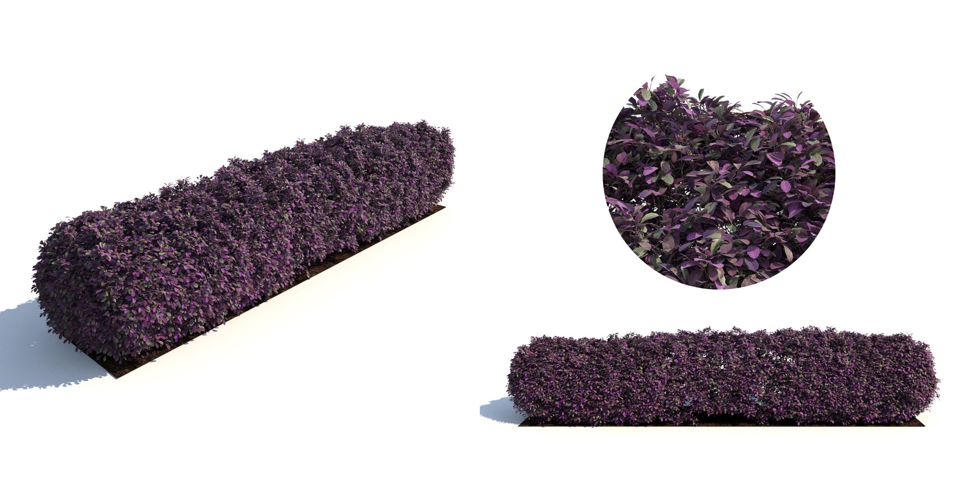 landscape 3D model https://p.turbosquid.com/ts-thumb/4v/HYc1rd/mFtmegSl/autoland_9/jpg/1575146165/1920x1080/fit_q87/e9d3233e2a38d91e42819027f7c88ddb1e8d2e35/autoland_9.jpg