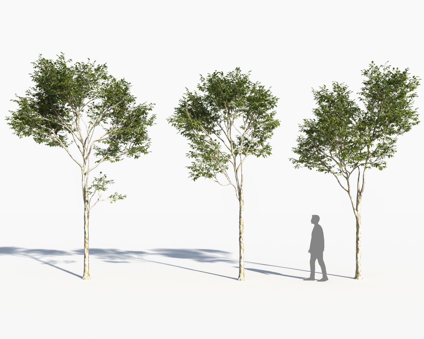 landscape 3D model https://p.turbosquid.com/ts-thumb/4v/HYc1rd/oFNMbH5q/autoland_35/jpg/1575151151/1920x1080/fit_q87/1fee6bb9f668e3bba9413e6a0ad9366b25822016/autoland_35.jpg