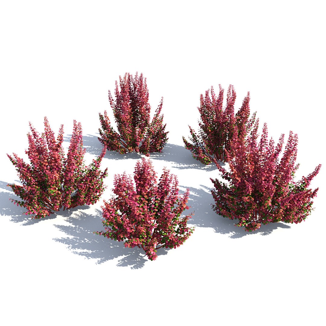 landscape 3D model https://p.turbosquid.com/ts-thumb/4v/HYc1rd/oxLTam8r/autoland_29/jpg/1575151089/1920x1080/fit_q87/6b1aaf61220a04084e306241b3287f9bf3e1e94f/autoland_29.jpg
