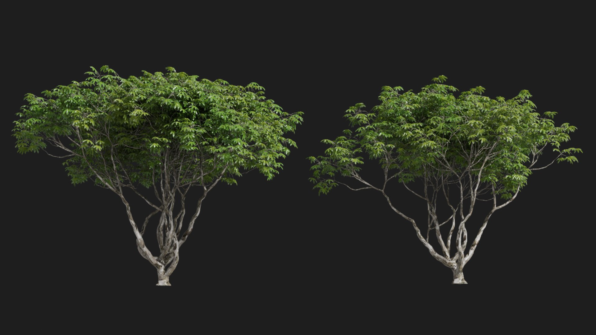 landscape 3D model https://p.turbosquid.com/ts-thumb/4v/HYc1rd/pKtRaRNM/blender39/jpg/1575210083/1920x1080/fit_q87/33cb92435acdc462f1d037bf120b2b9016f79900/blender39.jpg